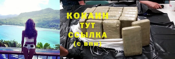 гидра Инсар