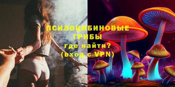 не бодяженный Инта
