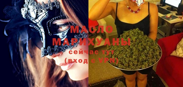 гидра Инсар