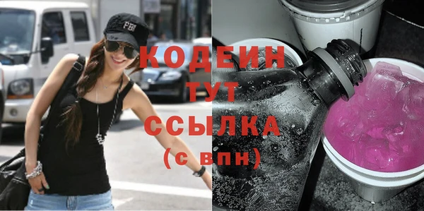 дмт Ельня