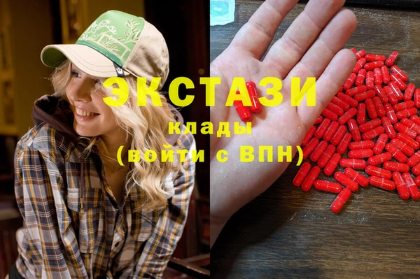 гидра Инсар