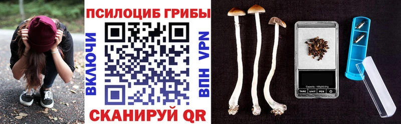 Галлюциногенные грибы мицелий  Княгинино 